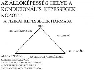 A FIZIKAI KÉPESSÉGEK HÁRMASA. ERŐ. ERŐ-ÁLLÓKÉPESSÉG. GYORSERŐ. GYORSASÁG. ÁLLÓKÉPESSÉG. GYORSASÁGI-ÁLLÓKÉPESSÉG. SZEREPE MEGHATÁROZÓ. A RENDSZERES FIZIKAI KÉPZÉSBEN. ÁLLÓKÉPESSÉG NÉLKÜL NINCS. TARTÓS MUNKAVÉGZÉSI KÉPESSÉG.